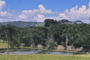 WhatsApp Image 2025-01-20 at 16.01.17 (1) (2)